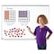 Learning Resources Giant Array Magnetic Demonstration Set 6648 - alternate 4